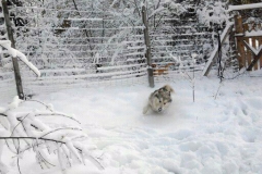 Hotel_U_Milki_przygotowania_i_widoki (13)
