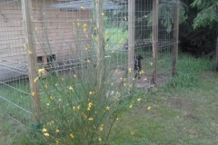 Hotel_U_Milki_przygotowania_i_widoki (20)