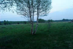Hotel_U_Milki_przygotowania_i_widoki (28)