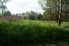 Hotel_U_Milki_przygotowania_i_widoki (31)