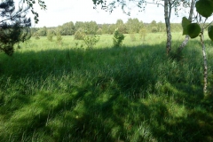 Hotel_U_Milki_przygotowania_i_widoki (33)