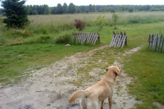 Hotel_U_Milki_przygotowania_i_widoki (42)