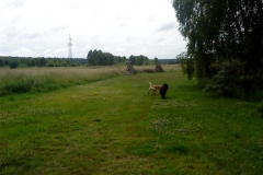 Hotel_U_Milki_przygotowania_i_widoki (43)