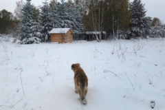 Hotel_U_Milki_przygotowania_i_widoki (5)