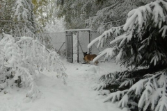Hotel_U_Milki_przygotowania_i_widoki (7)