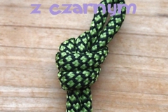 jaskrawy zielony z czarnym